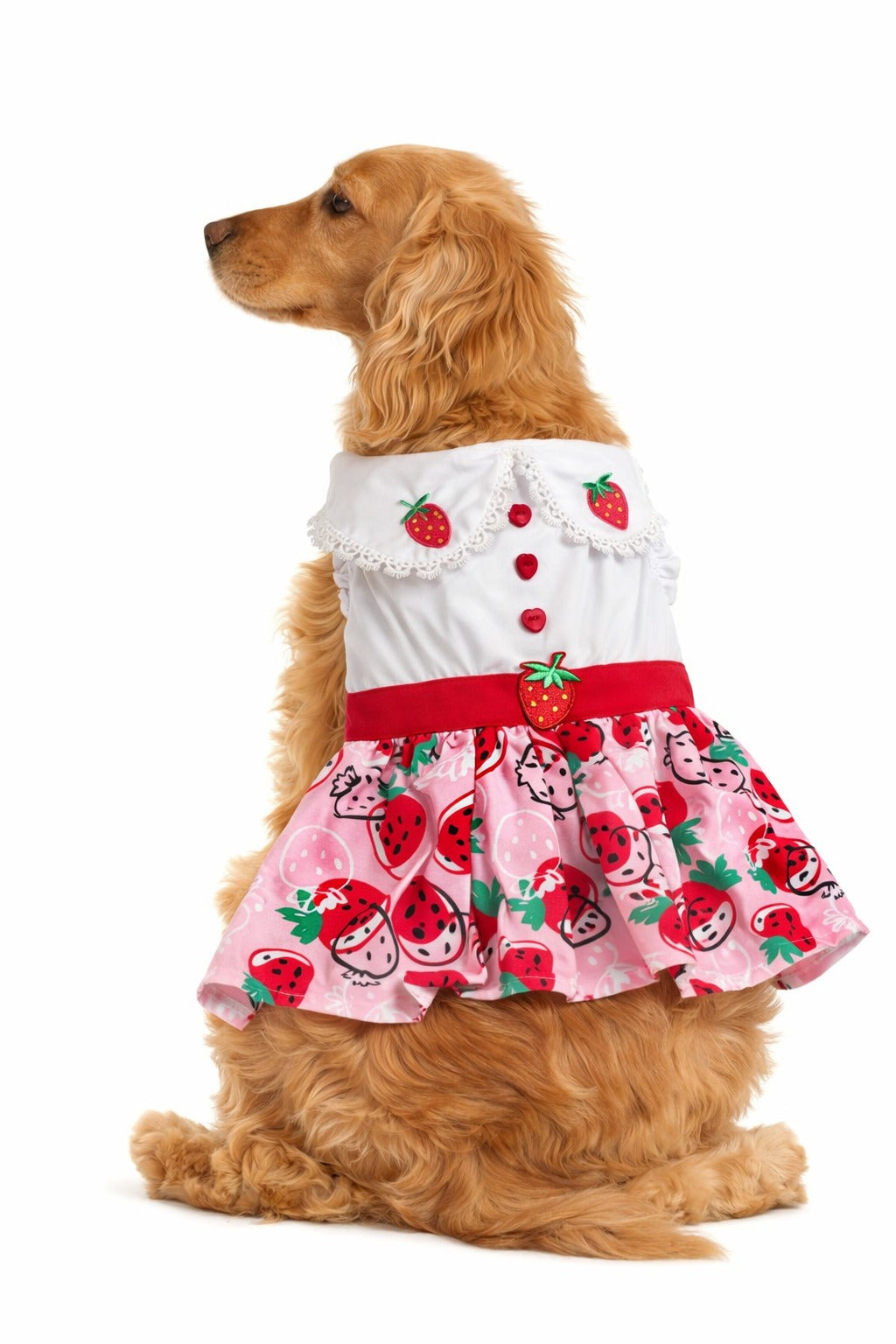 Strawberry Dress