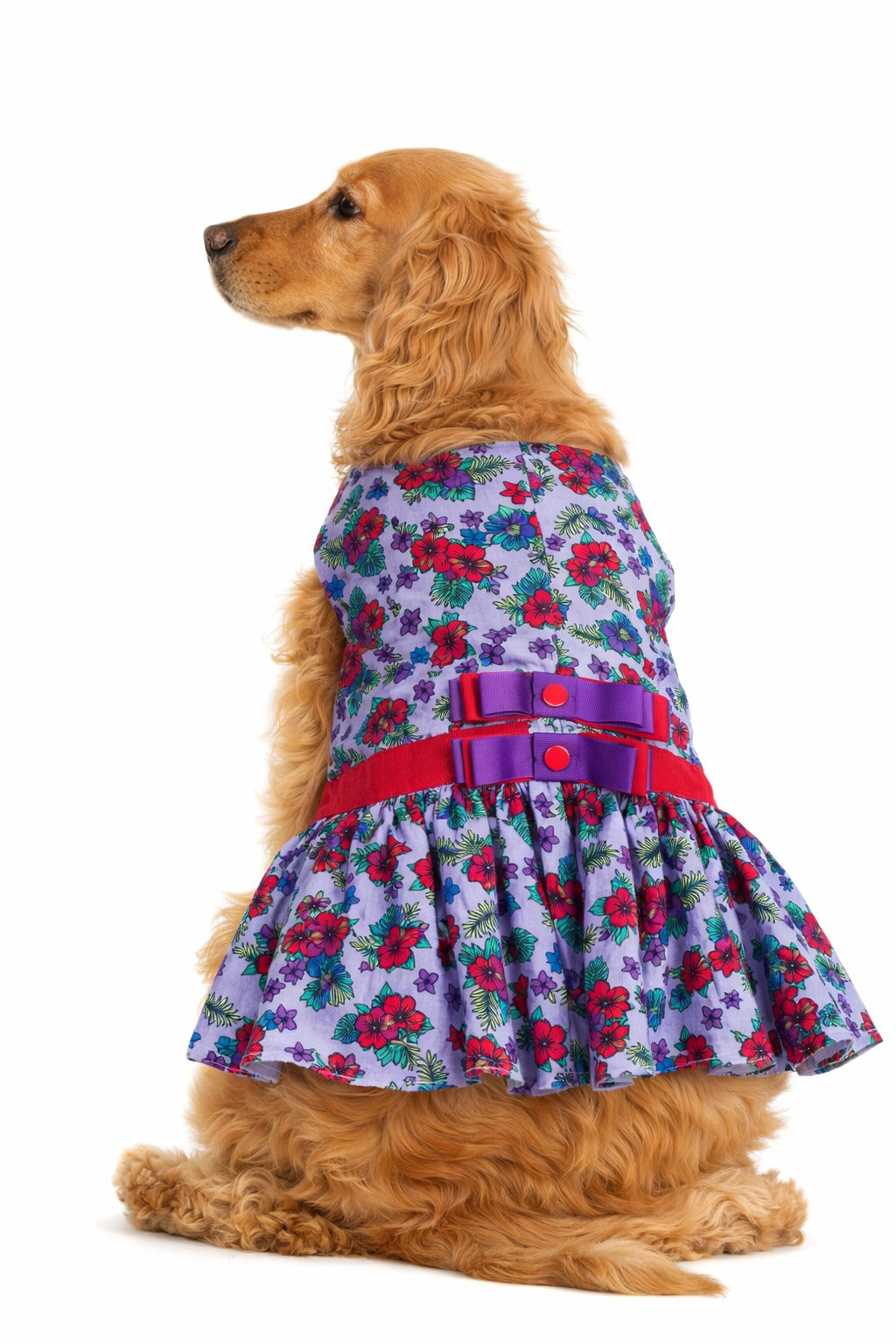 Floral purple and red dress
