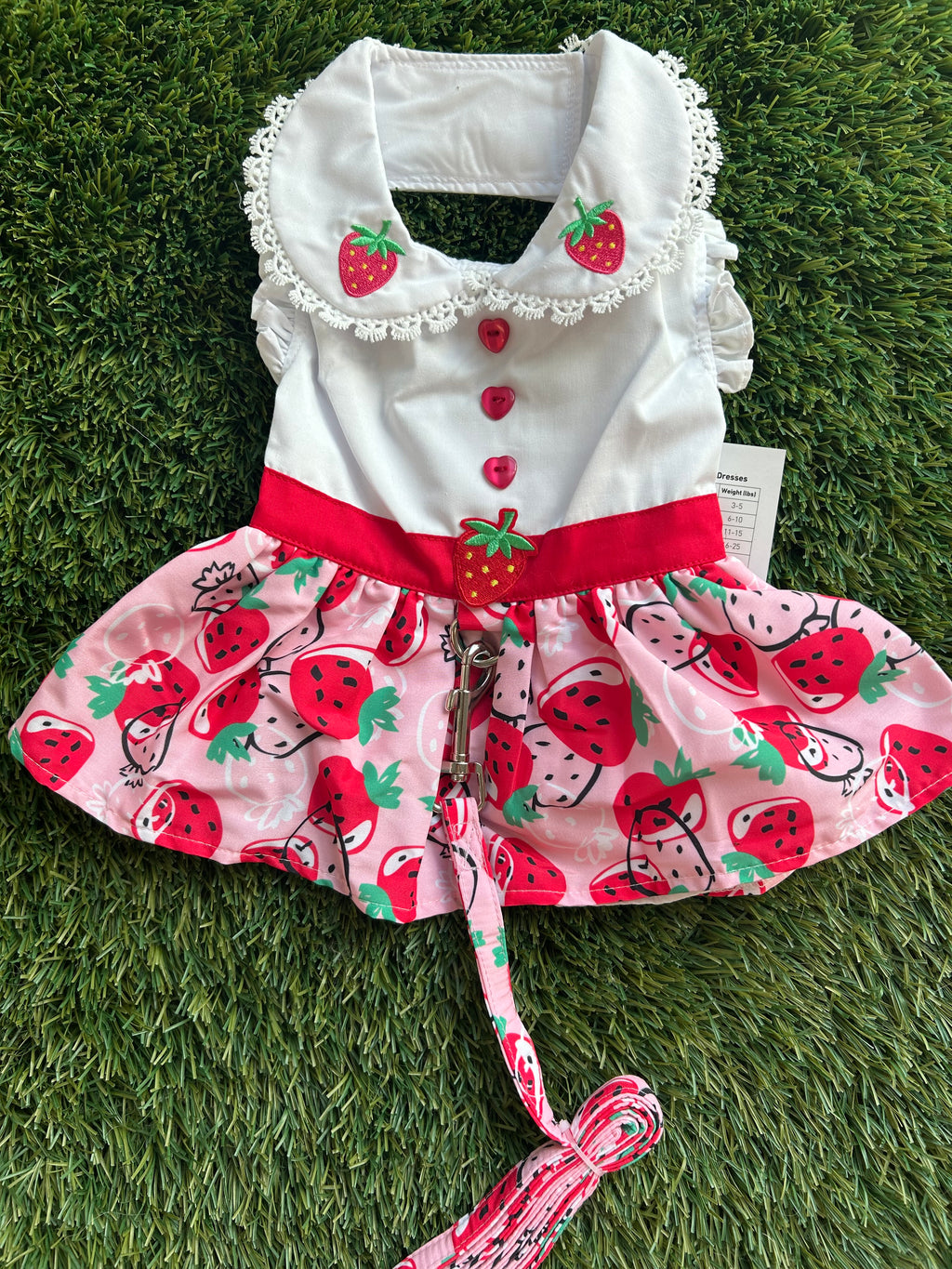 Strawberry Dress
