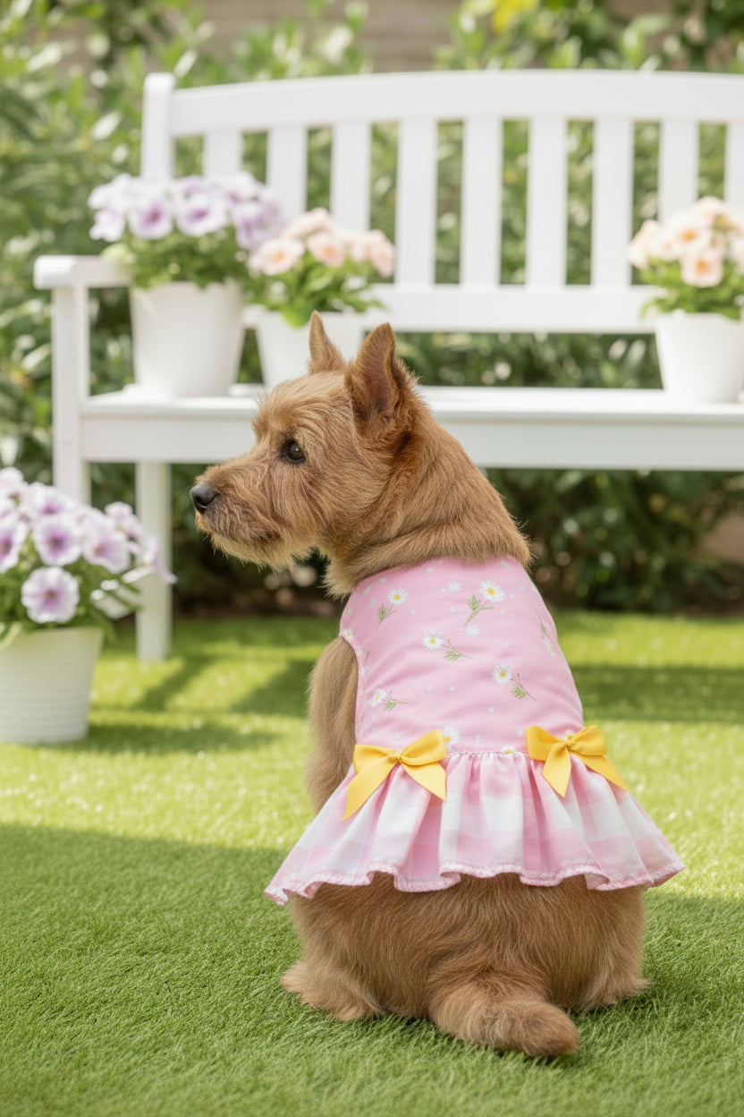 Crop top skirt pet