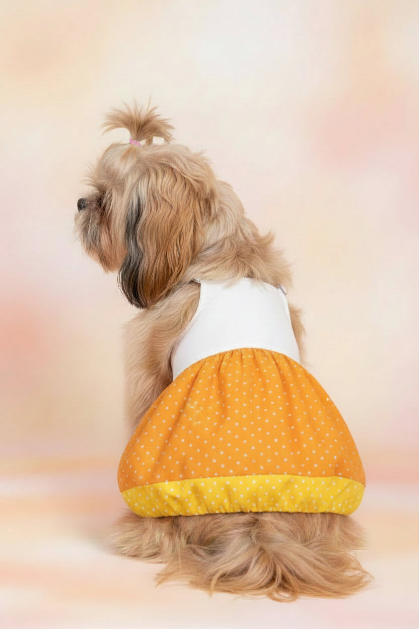 Dress yellow and orange