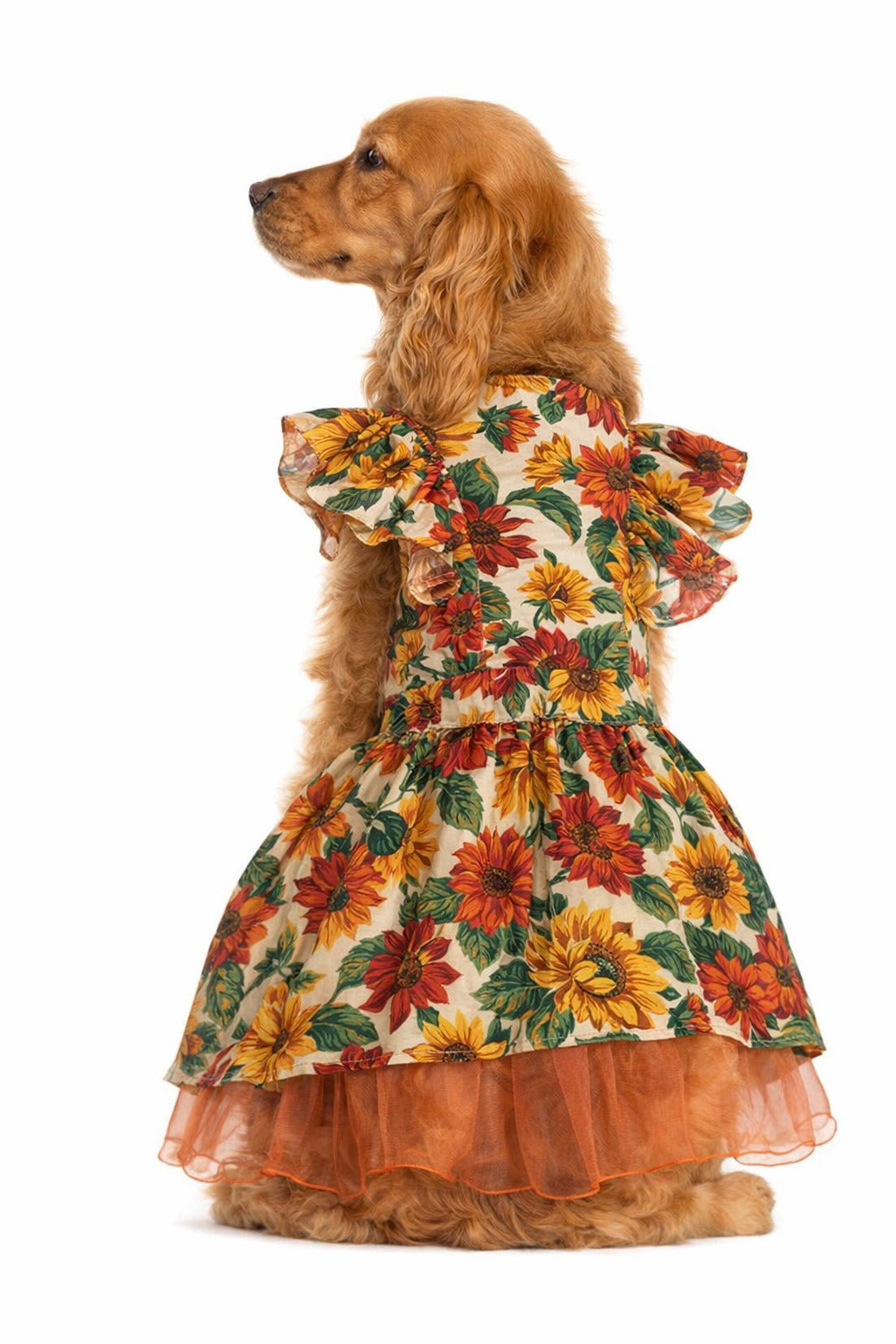 Sunflower plus size Dress