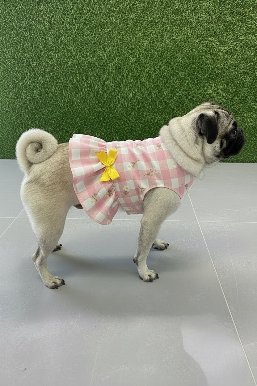 Crop top skirt pet